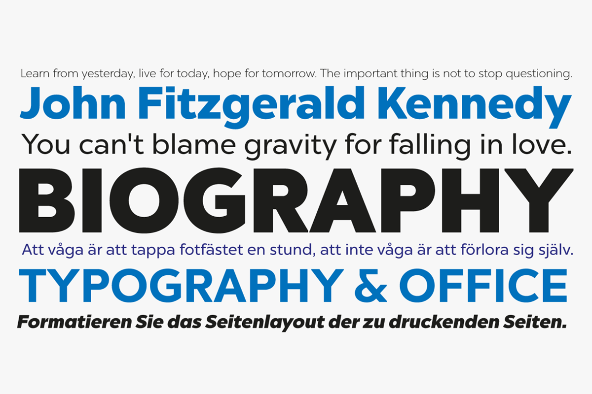 Chronica Pro Family (18 fonts) preview 3
