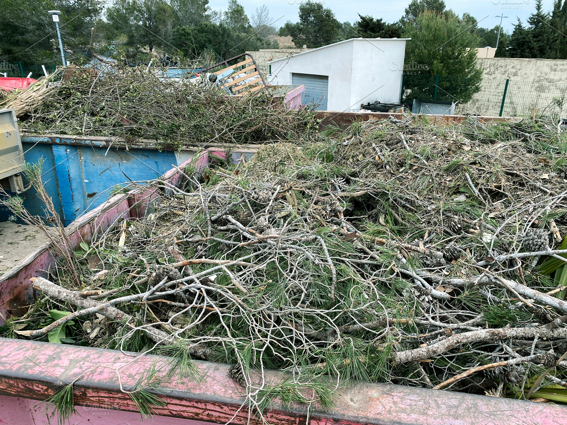 piles of branches and vegetation in a waste container, a Photo by Nito