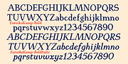 EuroikaKamp, a Serif Font by Ingrimayne Type (Thumbnail 10 of 11)