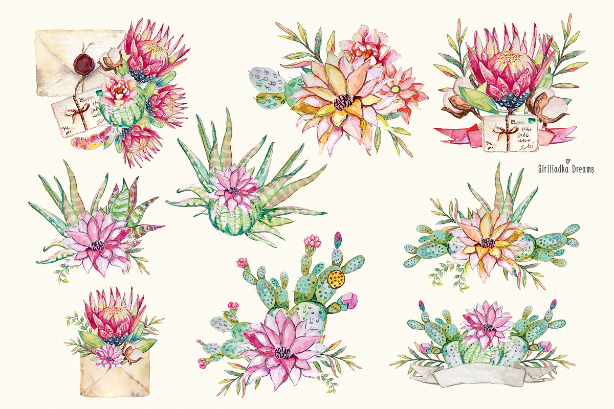 Watercolor cactus and succulents, a Decorative Illustration by Siriliadka Dreams (Photo 4 of 9)