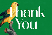 Midnight Goyage Modern Sans Serif, a Sans Serif Font by timelesstype.co (Thumbnail 20 of 20)
