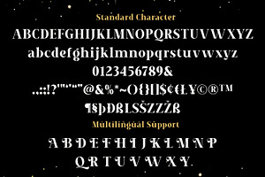 New Year - Serif Font