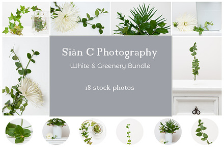 White & Greenery |Stock Photo Bundle, a Photo by Siân C Photography