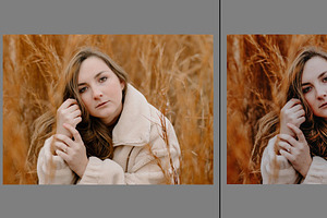 Earthy Tones - Lightroom Presets