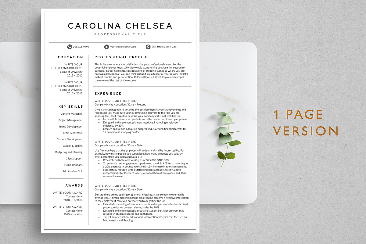 Resume/CV Template - CAROLINA, a Resume Template by TheStandOutResume (Photo 2 of 10)