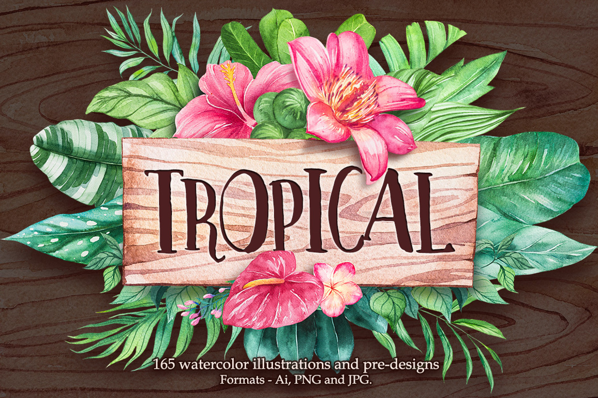 Tropical. Watercolor illustrations., a Decorative Illustration by AlexGreenArt (Photo 1 of 12)