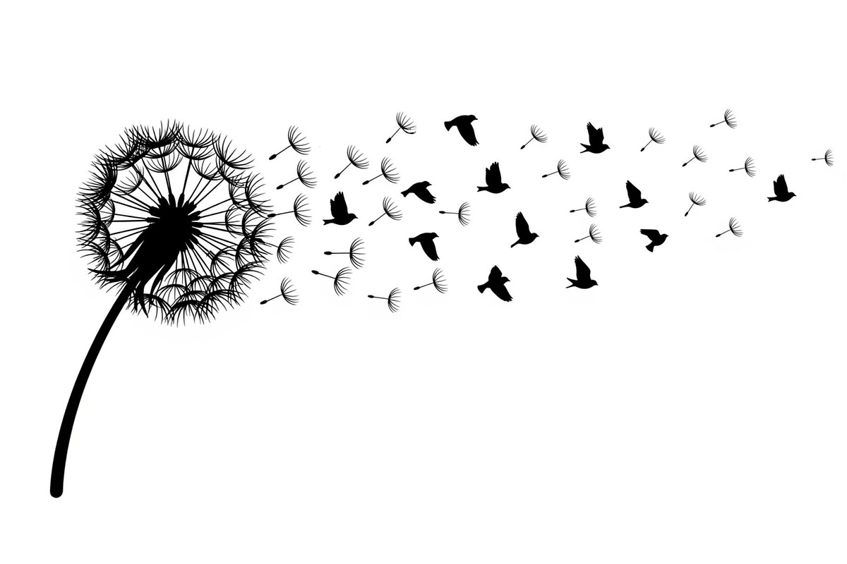 Dandelion Blow Silhouette Bundle, an Illustration by yasushie (Photo 27 of 31)