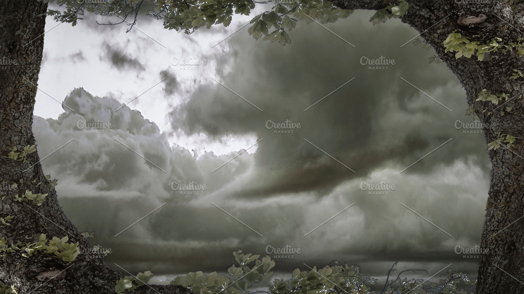 Panoramic cloudscape background, a Background Photo by DanFLCreativo