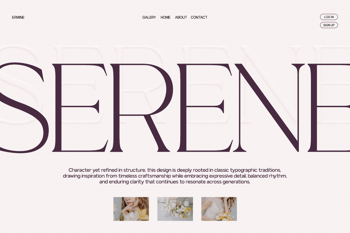 GC Adelite - Stylish Chic Serif, a Serif Font by Glyphonic (Photo 7 of 15)