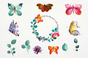 Watercolor Set. Butterfly