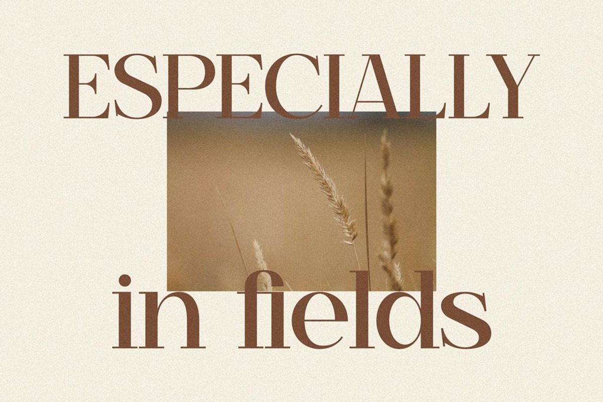 Begilas Modern Serif Font, a Serif Font by Storytype Studio (Photo 10 of 14)