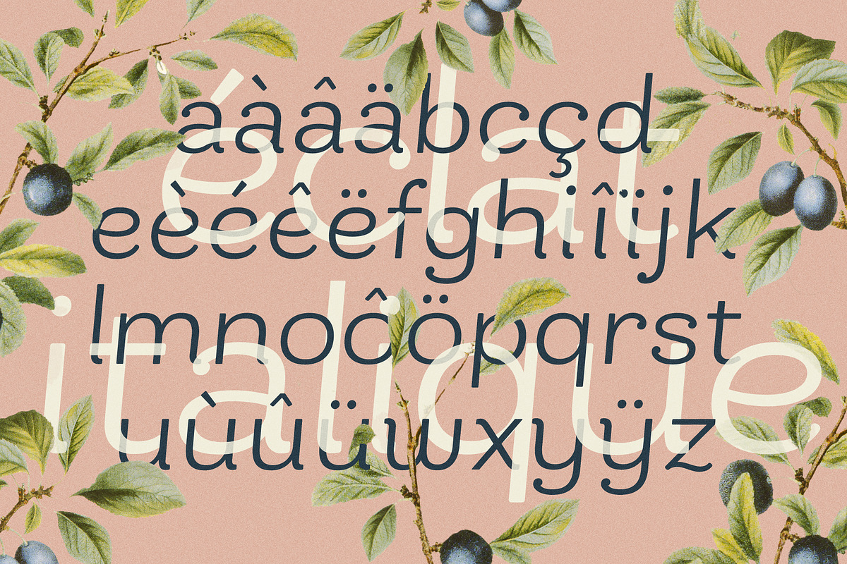 Bakewell Complete Family, a Sans Serif Font by Kimmy Design (Photo 14 of 14)