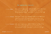 Alur Symphony Handwritten Brush Font, a Handwritten Font by Perplexitics (Thumbnail 9 of 10)