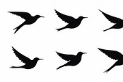 Flying Bird Silhouette Bundle, an Illustration by Creativeshirt (Thumbnail 5 of 10)