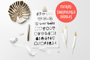 Sansevieria Display Font + Extras, a Sans Serif Font by Frisk Shop (Thumbnail 7 of 8)