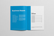 Annual Report Brochure, a Brochure Template by New Lines (Thumbnail 2 of 8)
