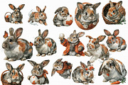 Watercolor Rabbit Clipart, an Illustration by Libby Wishes (Thumbnail 2 of 4)