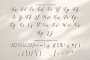Amstromato Script Signature, a Handwritten Font by Portocraft (Thumbnail 8 of 10)
