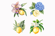 Watercolor Lemon Floral Clipart, an Illustration by Design Market (Thumbnail 4 of 4)