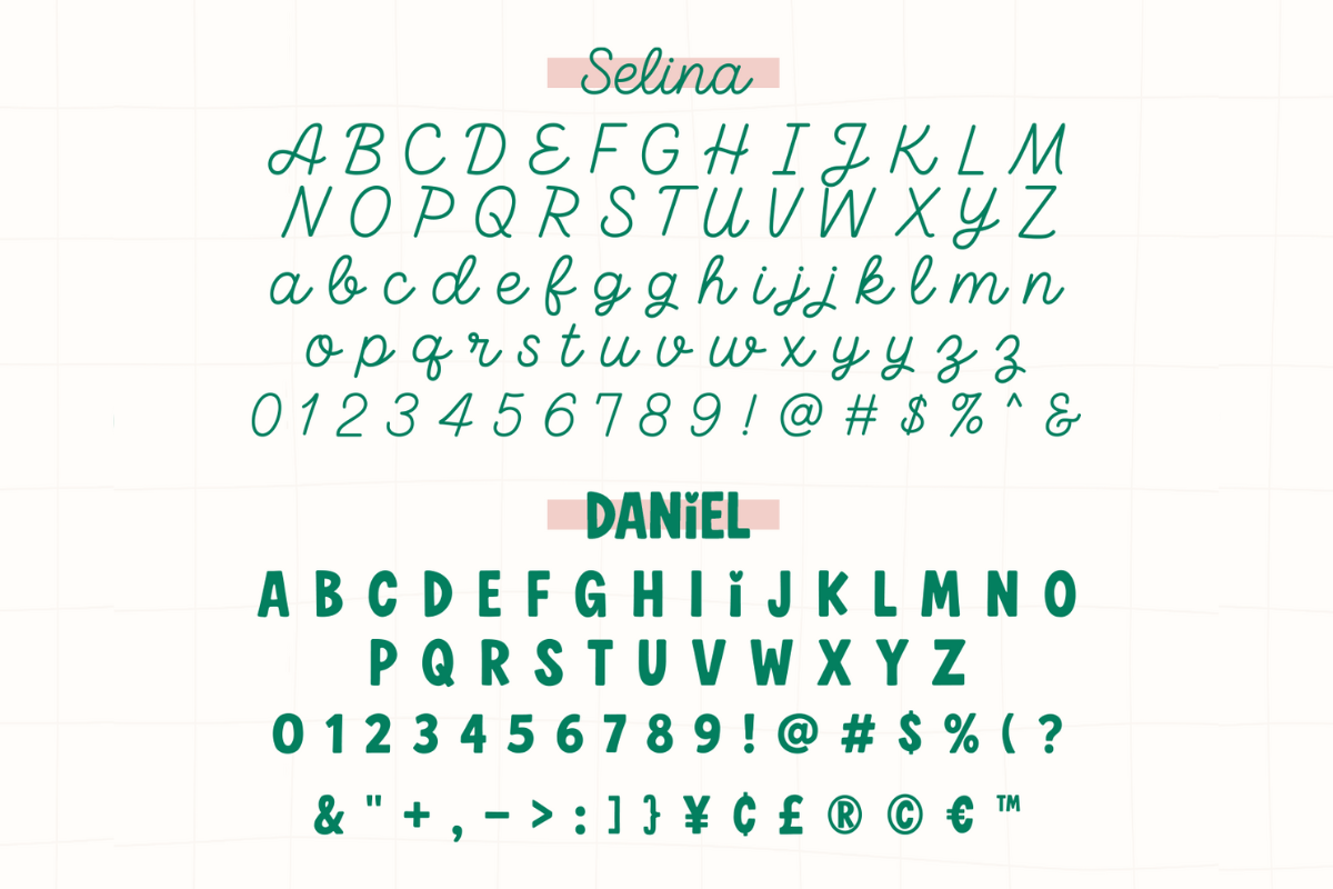 Selina - Script Monoline Font Duo, a Script Font by Jozoor (Photo 8 of 8)