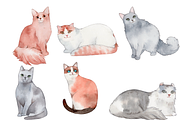 50 Hand-drawn Watercolor Cats, an Animal Illustration by ArtbyHien (Thumbnail 2 of 7)