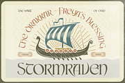 Cartius, a Serif Font by Burntilldead (Thumbnail 6 of 12)