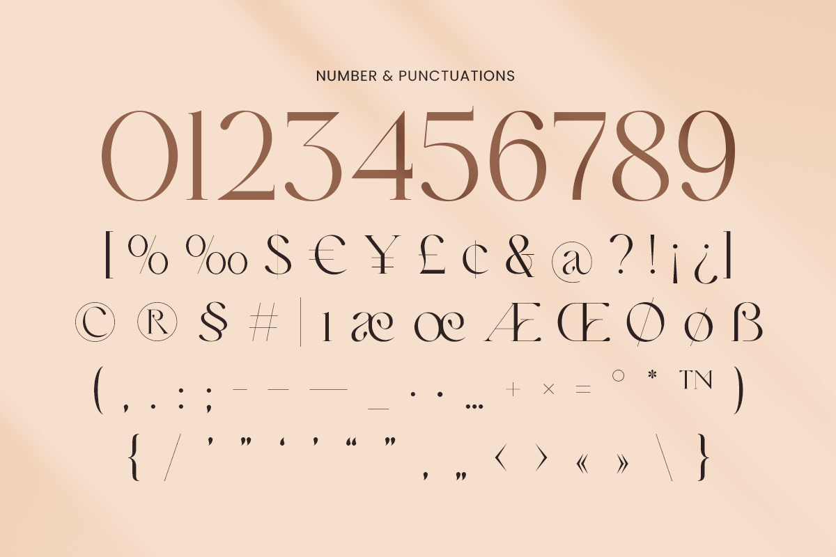 LOOK - Modern Elegant Logo Font, a Serif Font by Sensatype (Photo 10 of 13)