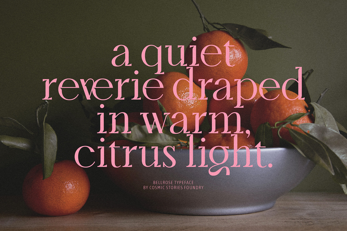 Bellrose Display Serif Font, a Serif Font by CarmineType (Photo 4 of 24)