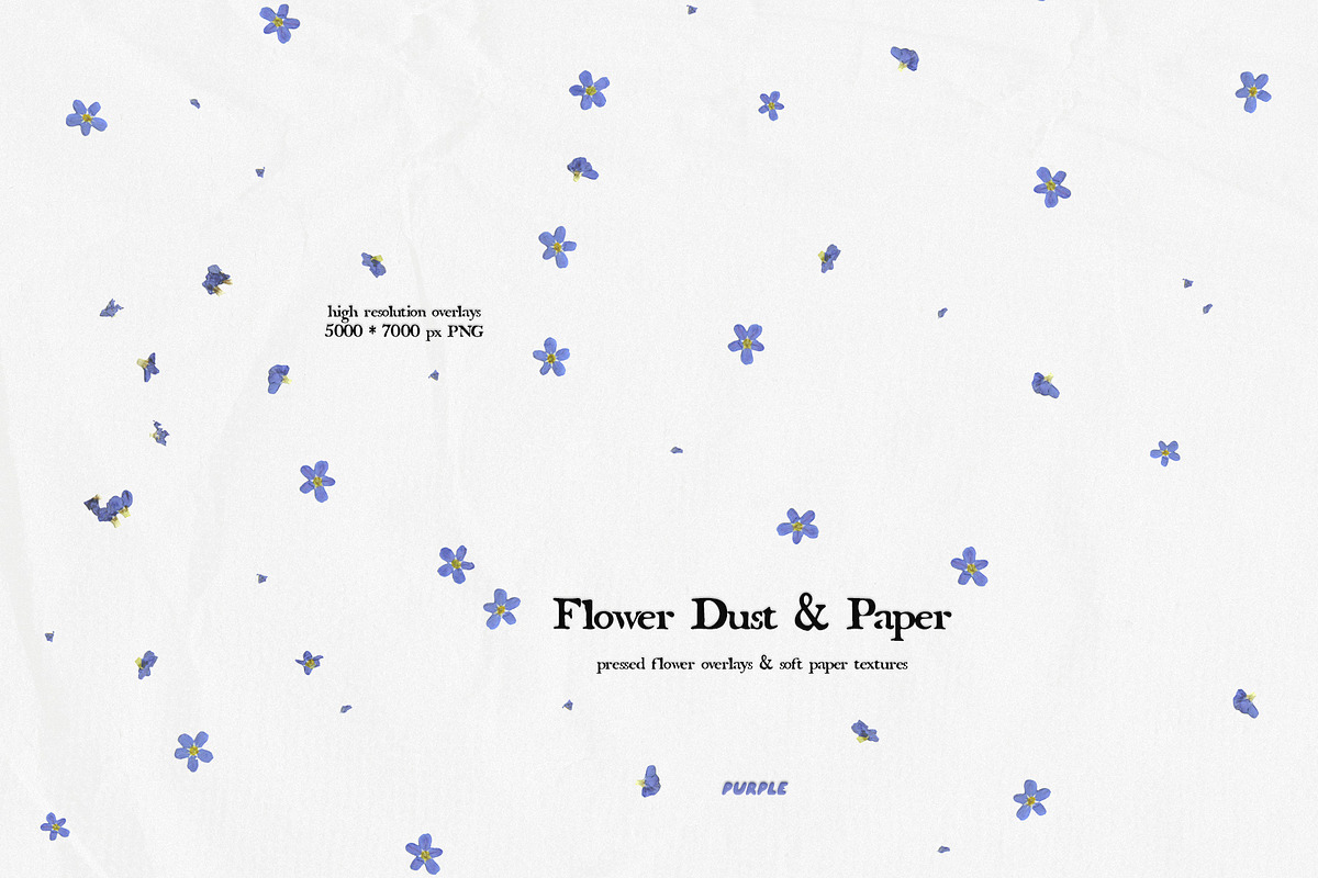 Flower Dust Overlays & Paper Texture, a Texture Graphic by Purple (Photo 9 of 15)