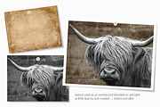 Soft Autumn, a Texture Graphic by rileyBgraphics (Thumbnail 3 of 6)