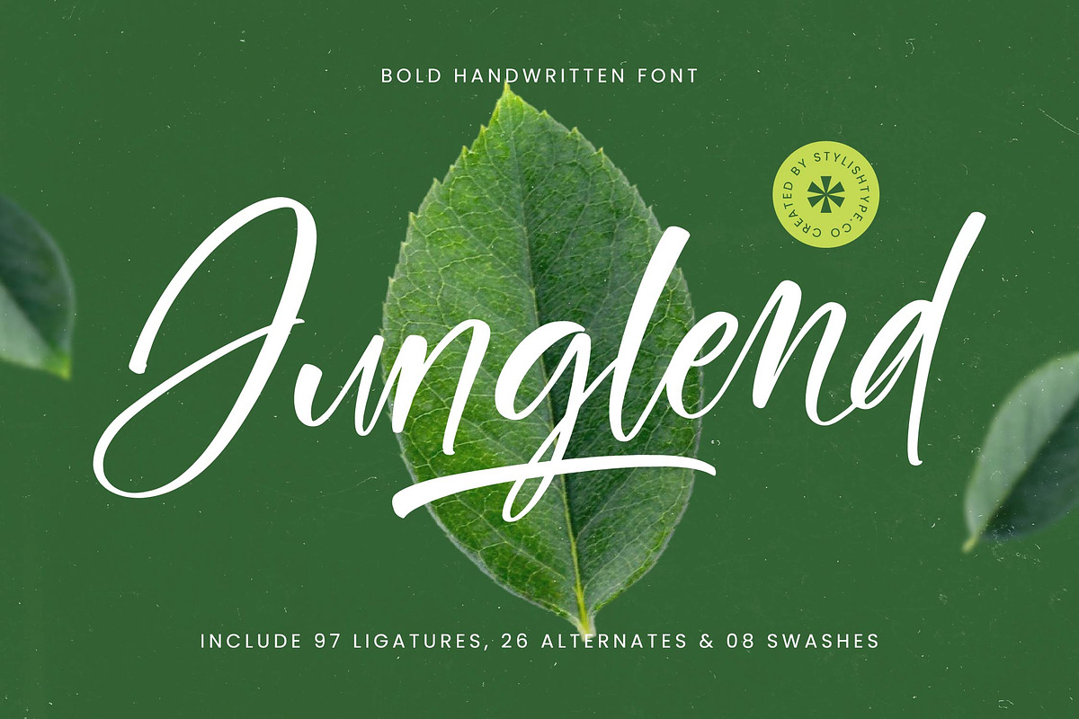 Junglend Bold Handwritten Font, a Script Font by stylishtype.co (Photo 1 of 20)