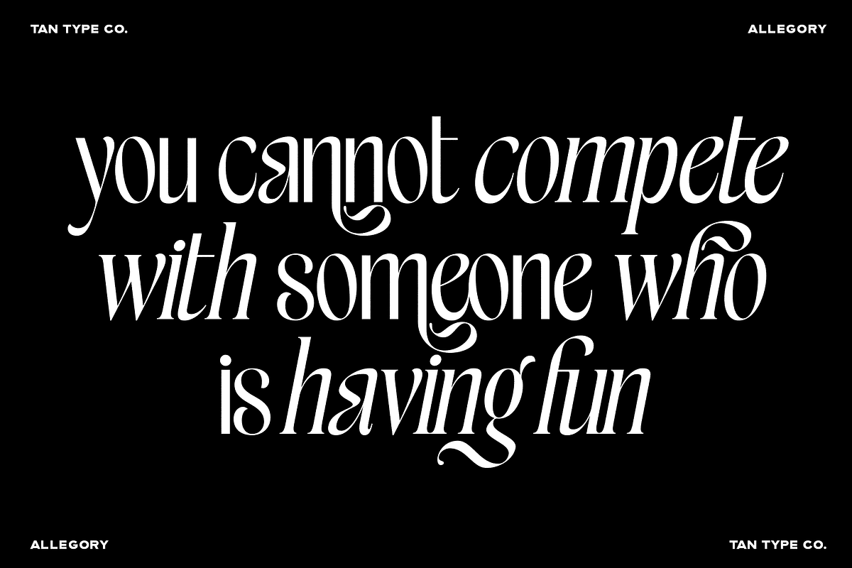 TAN - ALLEGORY, DUO FONT, a Serif Font by TanType (Photo 8 of 10)
