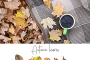 AUTUMN SEASON watercolor collection, a Seasonal Illustration by Julia Bogdan (Thumbnail 8 of 11)