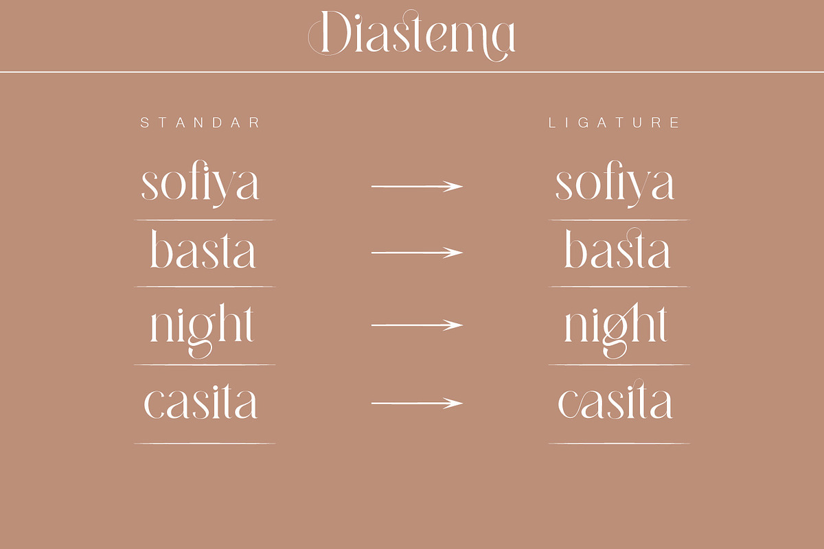 Diastema – Modern Ligature Typeface, a Serif Font by Issam Type (Photo 8 of 14)