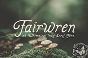 Fairwren, a Serif Font by Fairwren Creative (Thumbnail 1 of 9)