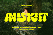 Aniskiit, a Sans Serif Font by Cruzine (Thumbnail 1 of 8)