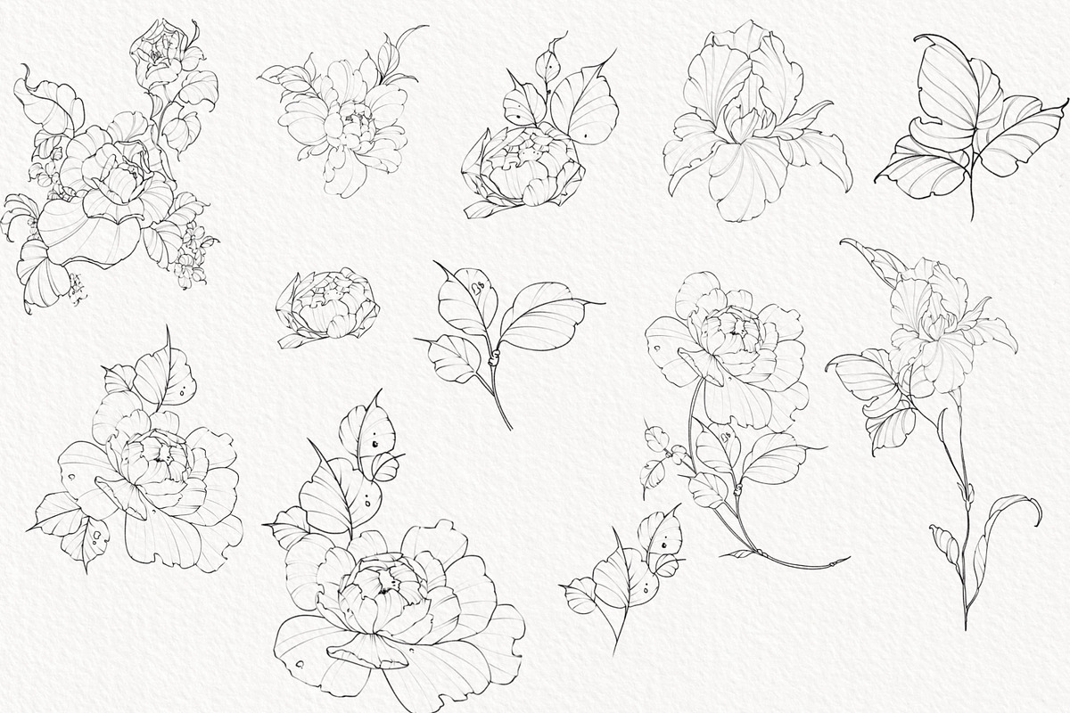 Procreate Snake stamps with flowers., a Brushes & More by AnnaPolitmerskaja (Photo 2 of 8)