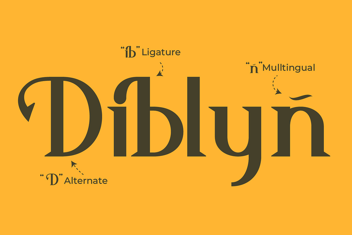 Ashfield - Serif Typeface Font, a Serif Font by Rishsketch (Photo 9 of 15)