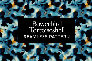 Bowerbird Tortoiseshell Pattern, a Pattern Graphic by Leysa Flores