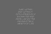 Jackquin Handwriting Font, a Handwritten Font by NTC Graphic (Thumbnail 2 of 8)