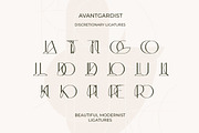 Avantgardist Modern Ligature Font, a Sans Serif Font by Laras Wonderland (Thumbnail 6 of 18)
