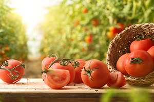 Fresh Tomatoes Spilling from a Wicker Basket, a Food & Drink Photo by Davizro's Market