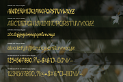 Daisyes | Hand Drawn Dual Font, a Handwritten Font by Denustudios (Thumbnail 13 of 14)