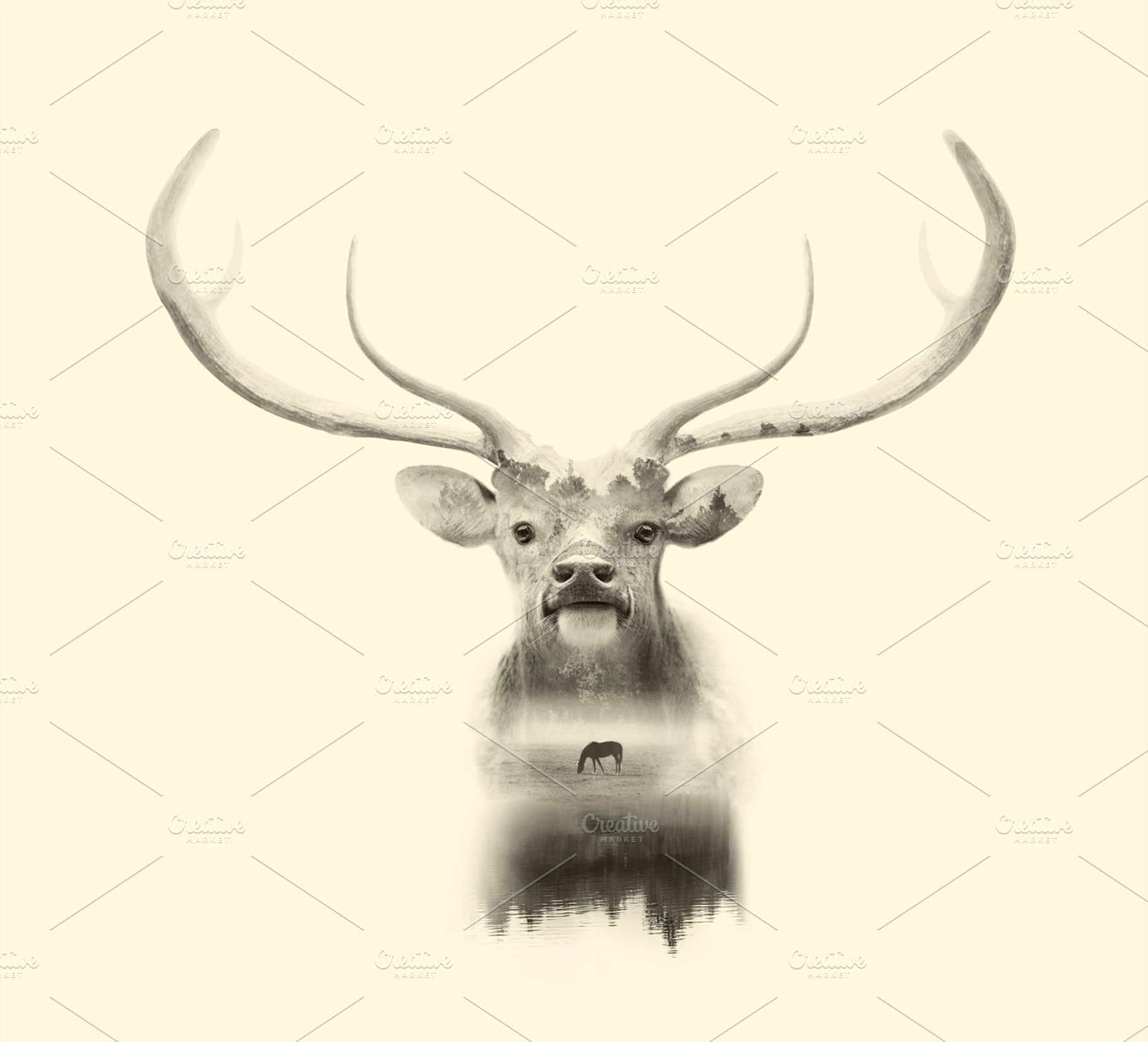 Deer double exposure, an Animal Photo by Olgait