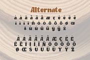 Clay Timber — Heavy Blocky Display, a Serif Font by Claymoon Lab (Thumbnail 4 of 7)