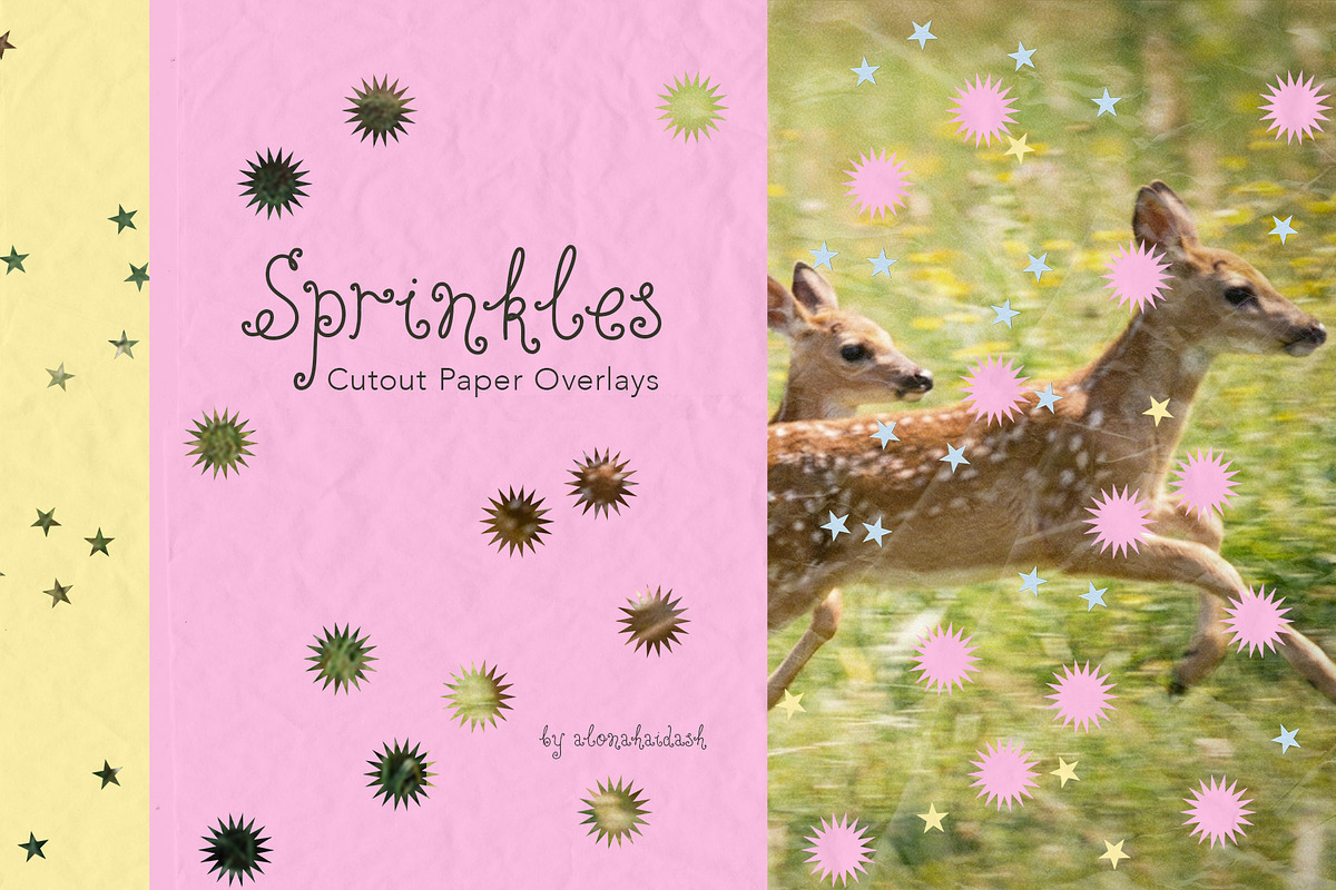 Sprinkles - Cutout Paper Overlays, a Texture Graphic by alonahaidash (Photo 1 of 21)
