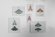 Mystical Moth, an Illustration by DysenkaArt (Thumbnail 3 of 6)