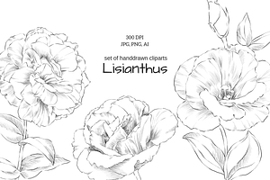 Lisianthus Floral Set