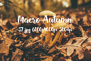 Macro Autumn photo bundle, a Templates & Theme by ApertureVintage (Thumbnail 17 of 21)