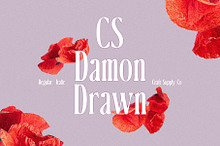 CS Damon Drawn